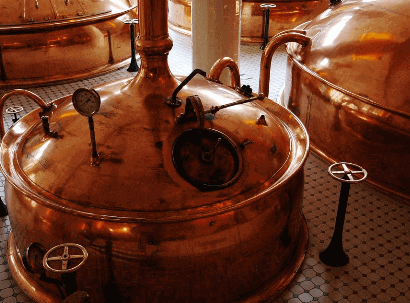 发酵工艺应用场景