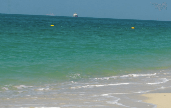 水性无硅消泡剂应用场景