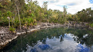 养殖污水处理消泡剂的应用场景
